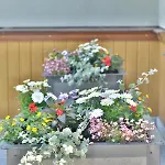 Accommodatie bij particulieren Cicha Zakopane
