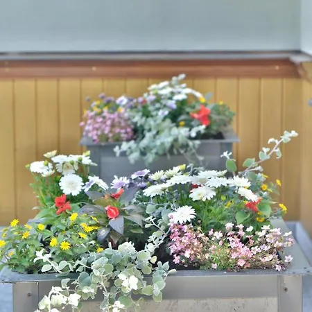 Séjour chez l'habitant Cicha Zakopane