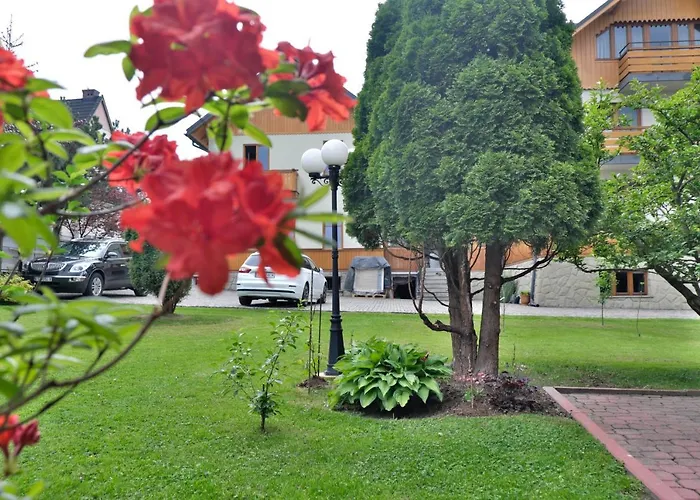 Cicha זקופאנה