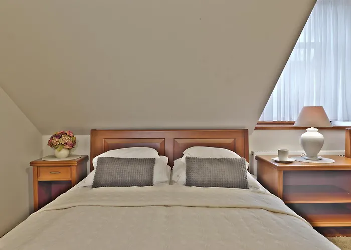 Cicha * זקופאנה